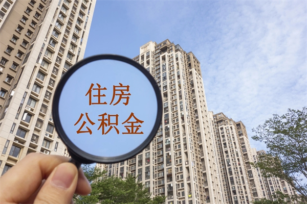丰城个人公积金查询-海盐公积金代办服务
